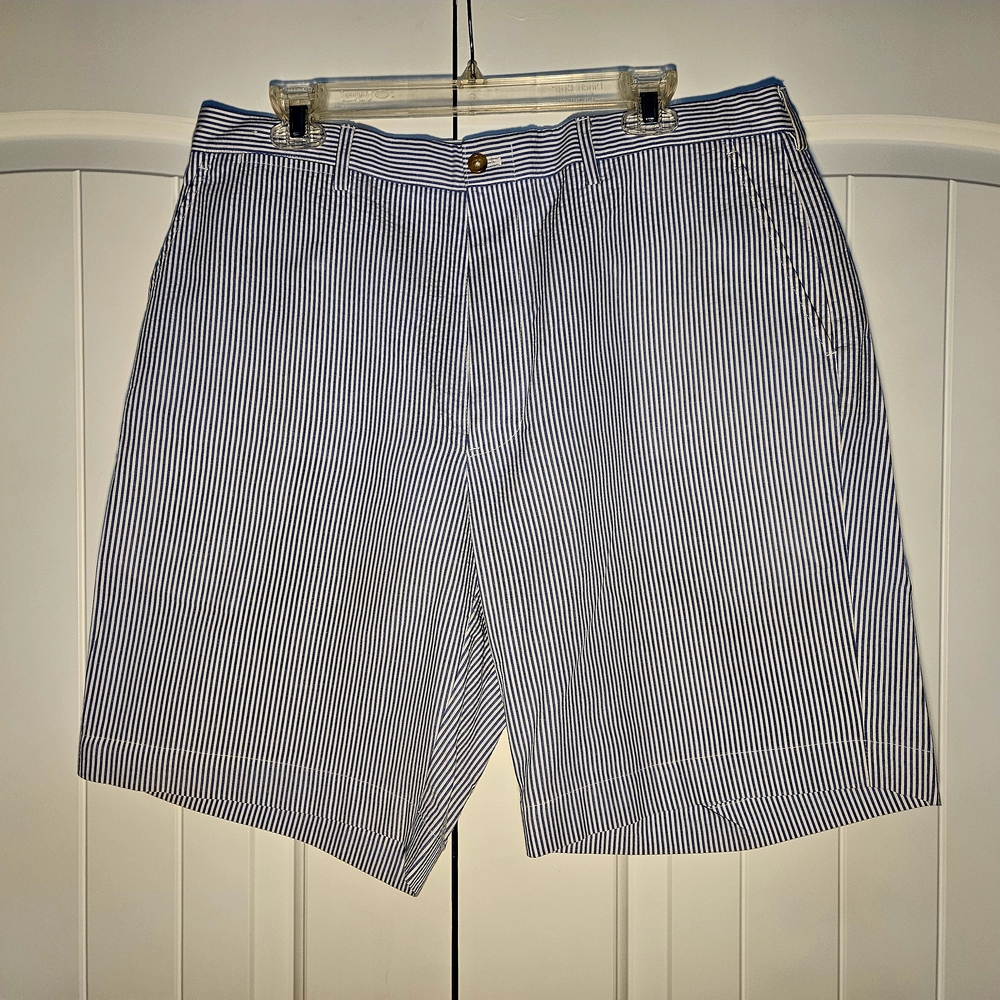 Blue Striped Men's Shorts